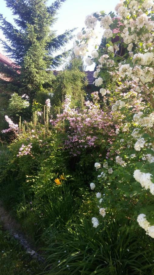 Apartamenty Zielona Gora Luaran gambar
